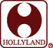 Hollyland
